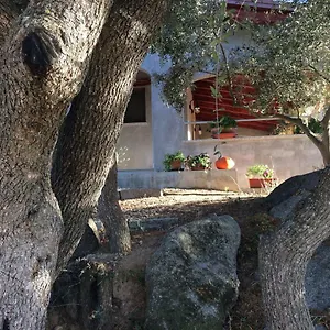 S'umbra De S'ozzastru Casa vacanze